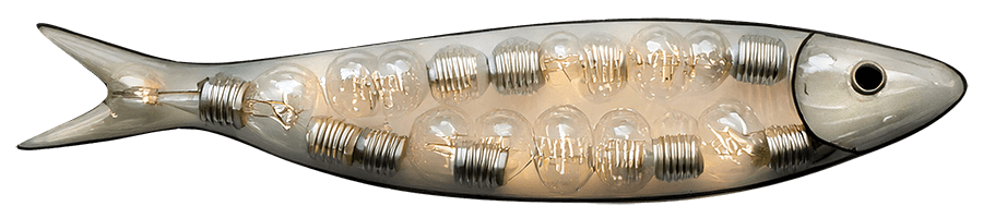 sardinha sardinha17 17 home design web mkt digital fotografia videos midias sociais 5