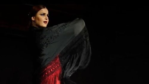 Milene munoz vinhetas