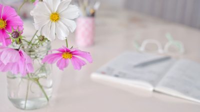 beleza 9dalata sardinha17 12