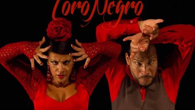 conceito-toro-negro-2-1