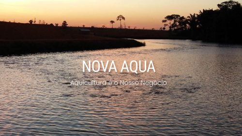 d nova aqua sardinha 17