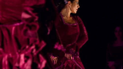 eduardo-sardinha-flamenco-ale-kalaf-8228