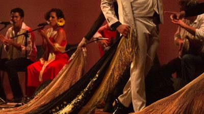 eduardo-sardinha-flamenco-efyc-girasoles-9230