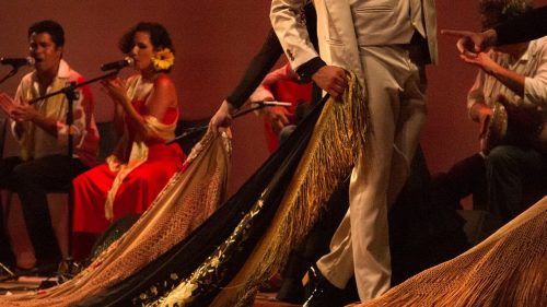 eduardo sardinha flamenco efyc girasoles 9230