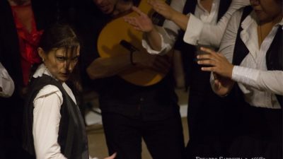 eduardo-sardinha-flamenco-galpao-da-danca-9168