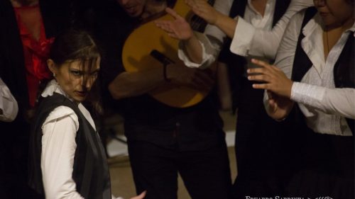 eduardo sardinha flamenco galpao da danca 9168