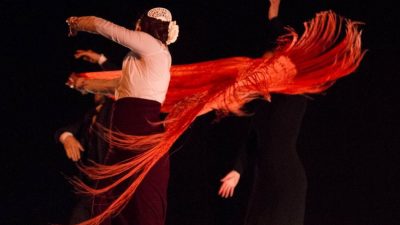 eduardo-sardinha-fotografia-flamenco-enda035
