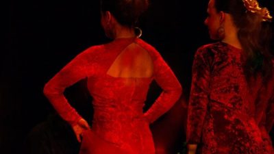 flamenco-eduardo-sardinha_IMG_0045