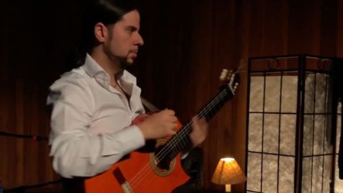 flavio rodrigues solo