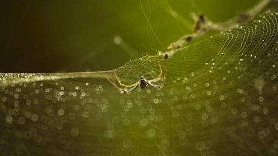 img_7889