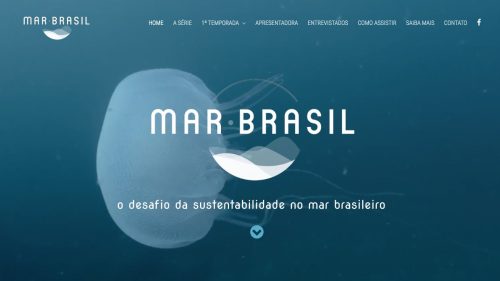 mar brasil 1