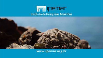sardinha17-ipemar