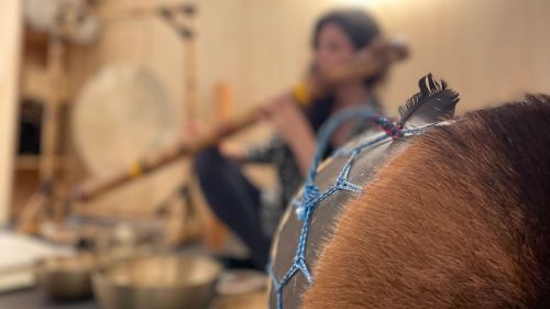 terapia do som clinica hiraoka 2 1