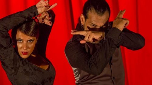 toro negro miguel alonso carolina zanforlin flamenco