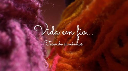 vida em fio sardinha17 nova