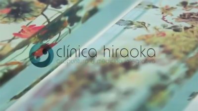 videos hiraoka