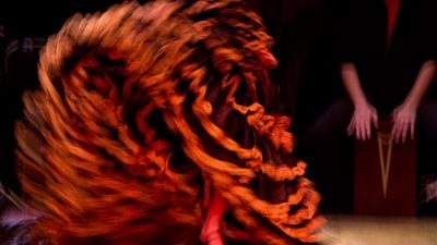 flamenco eduardo sardinha IMG 9826