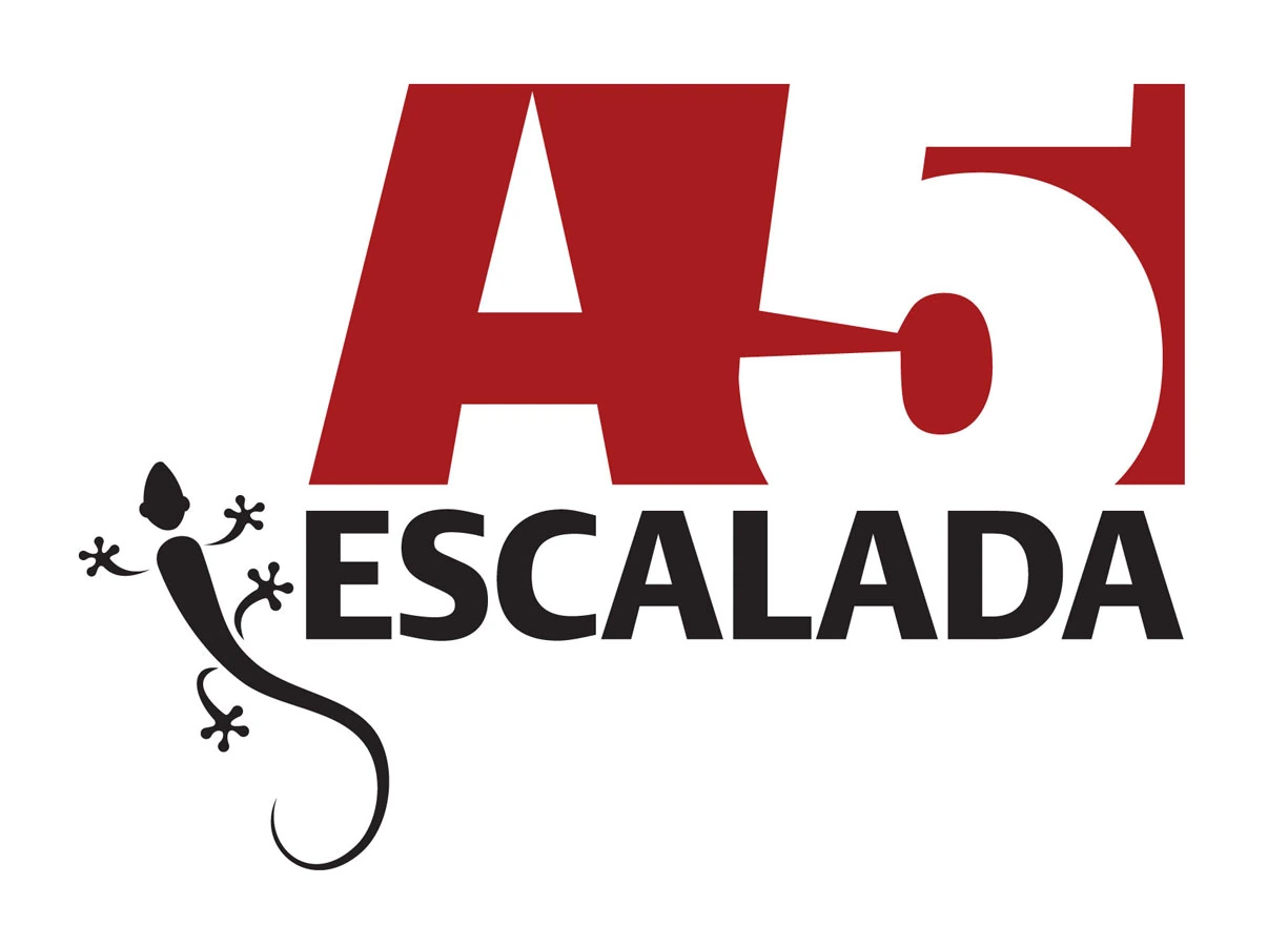 a5 escalada logo logotipo identidade visual sardinha17