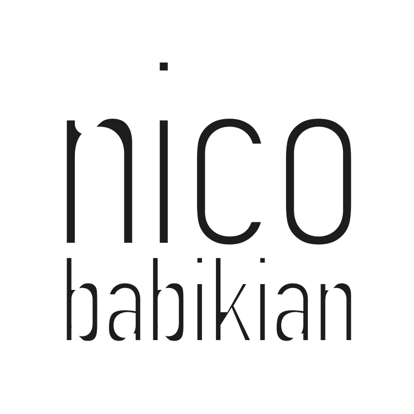 niko babikian logo logotipo identidade visual sardinha17