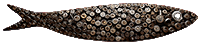 sardinha17 sites design grafico identidade visual logos mkt social inteligencia artificial fotografia videos