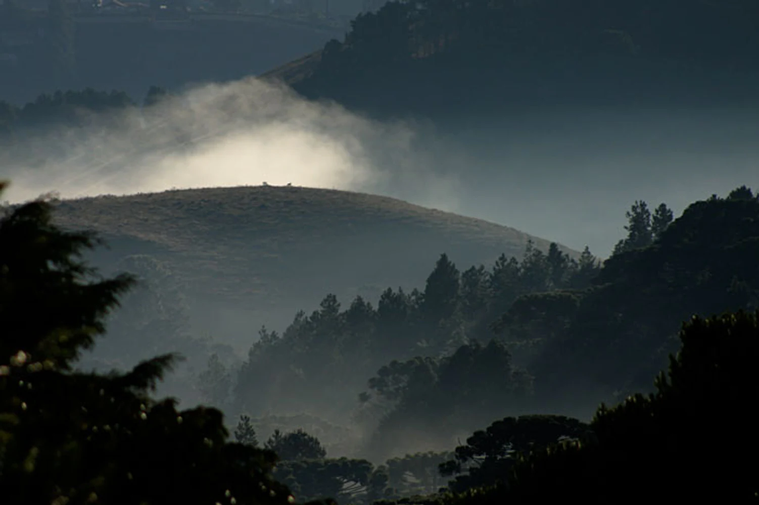 Paisagem em camadas com montanhas, floresta e névoa iluminada na Serra da Mantiqueira, vista da região do Hotel Toriba em Campos do Jordão. Fotografia autoral de Eduardo Sardinha — Sardinha17. Palavras-chave: montanha, neblina, névoa, floresta, Mantiqueira, paisagem.