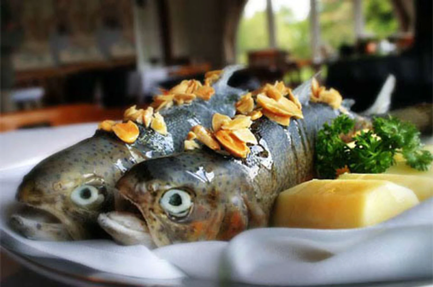 fotografia diversos still alimentos e gastronomia 009