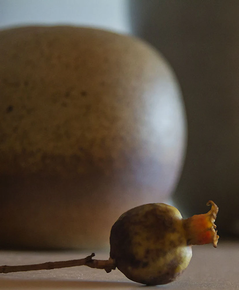 Semente ou fruto seco em primeiro plano diante de peça cerâmica volumosa, em composição de natureza-morta. Elementos visíveis: cerâmica, semente, galho, forma arredondada, marrom, bege, textura, luz lateral, sombra e profundidade de campo. Fotografia autoral de Eduardo Sardinha / Sardinha17 para a Eurobike. Contexto: ateliê Kimi Nii, São Paulo, SP, Brasil.