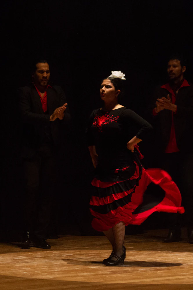 fotografia flamenco antonio canales 002