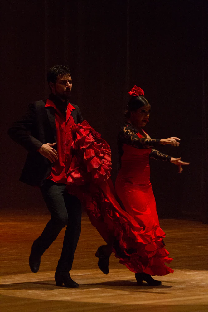 fotografia flamenco antonio canales 010