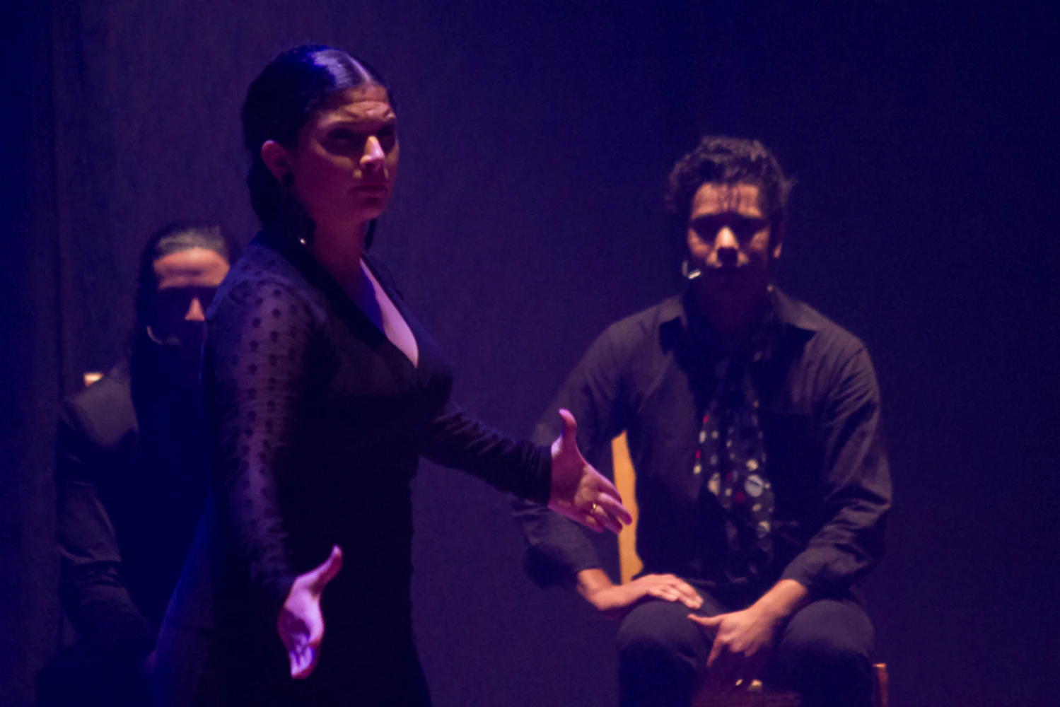 fotografia flamenco antonio canales 014