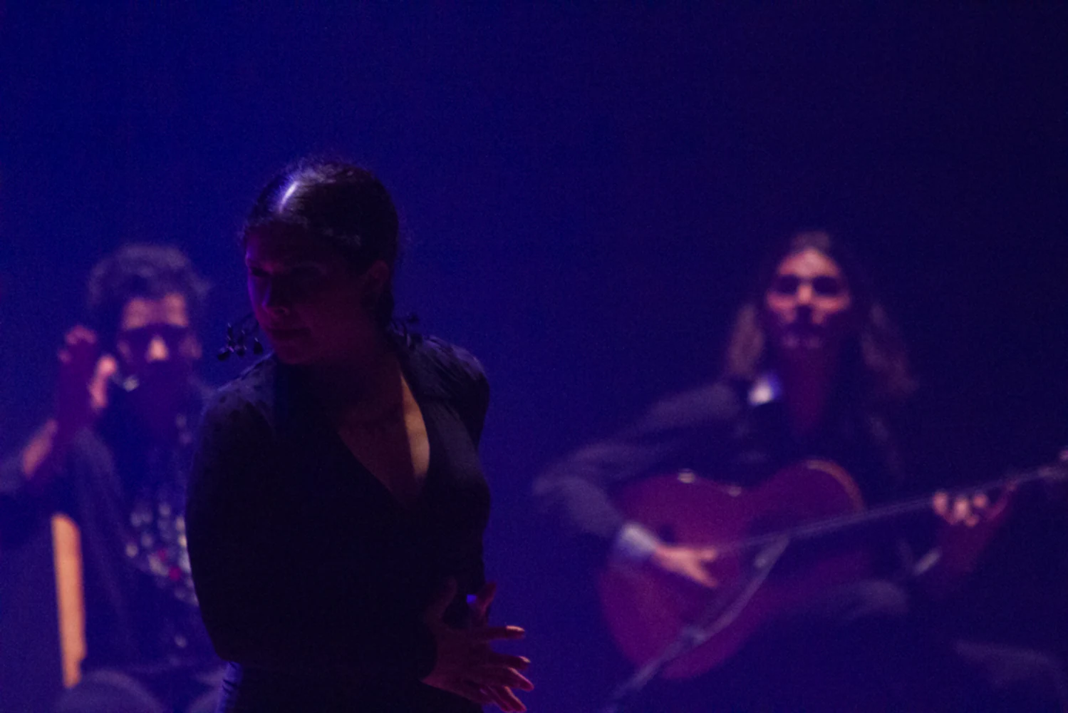 fotografia flamenco antonio canales 015