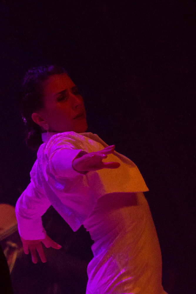 fotografia flamenco antonio canales 017