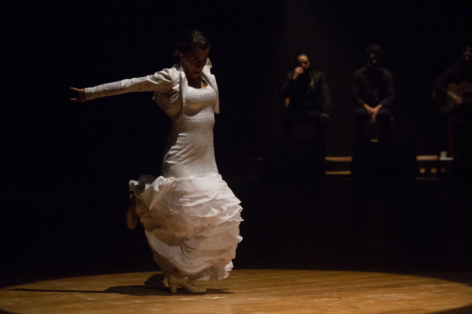 fotografia flamenco antonio canales 018