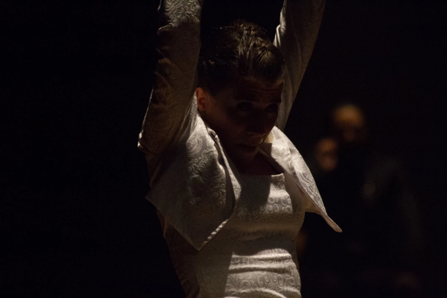 fotografia flamenco antonio canales 019