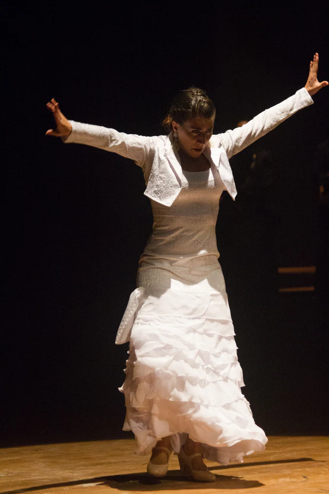 fotografia flamenco antonio canales 020
