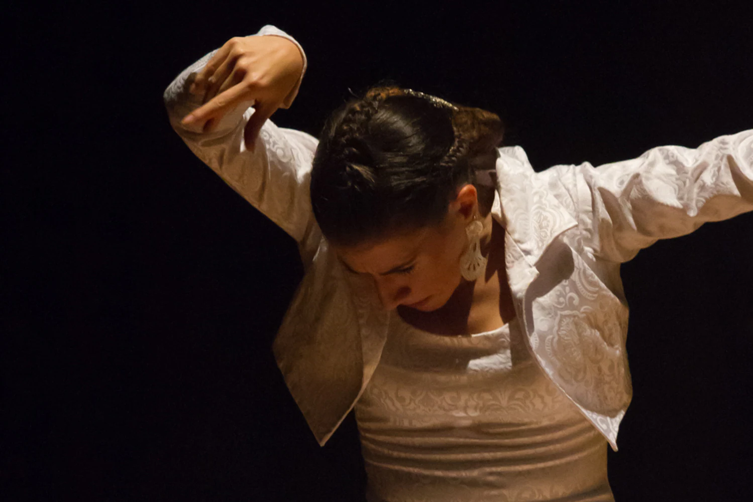 fotografia flamenco antonio canales 022
