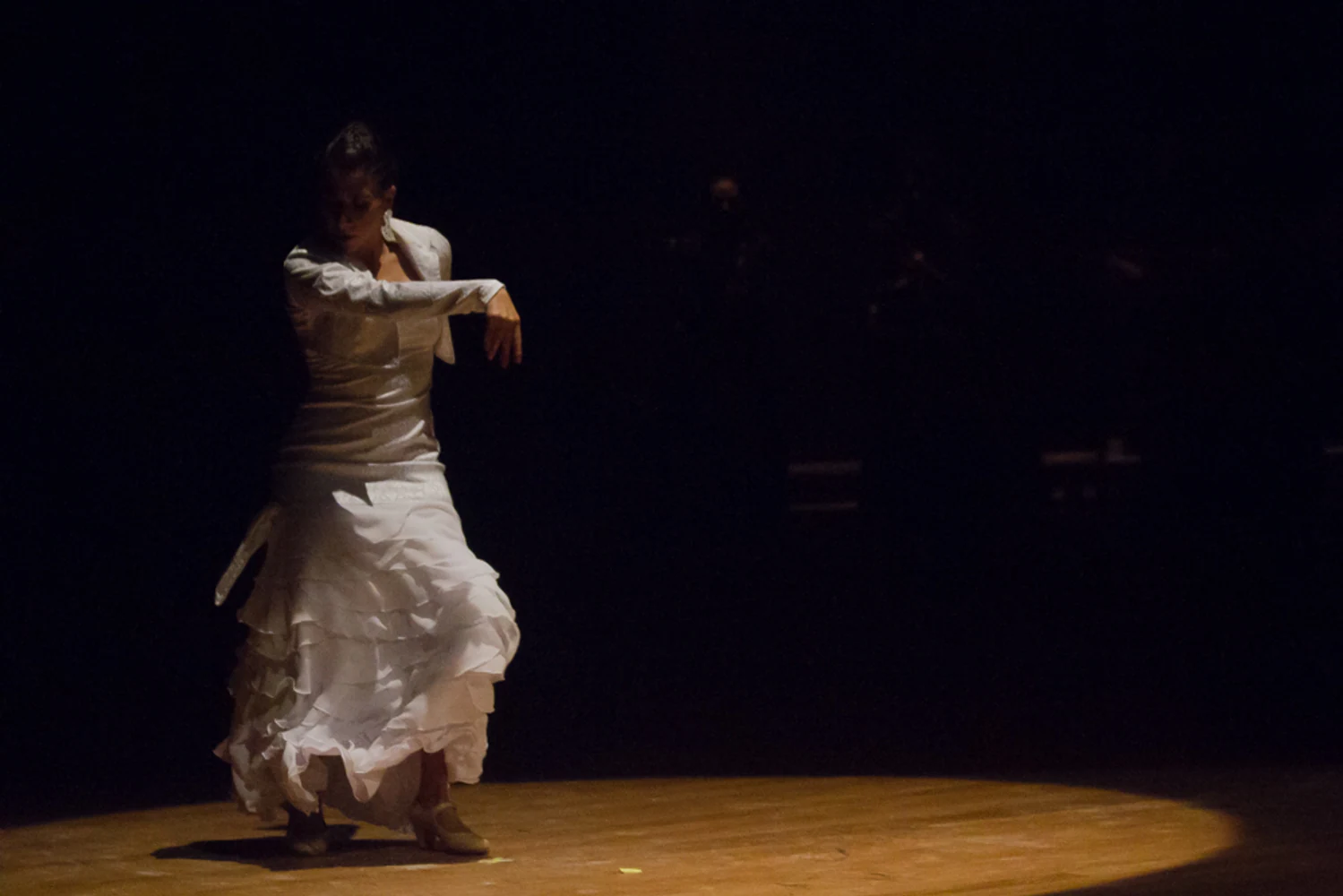 fotografia flamenco antonio canales 023