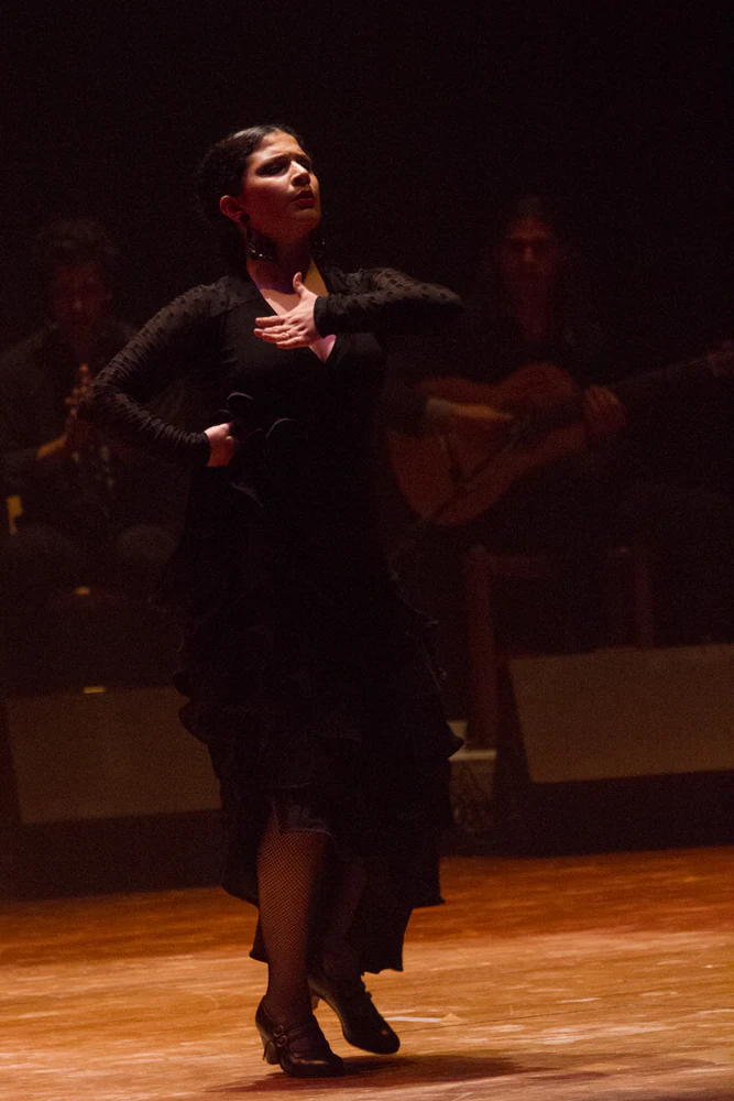 fotografia flamenco antonio canales 024