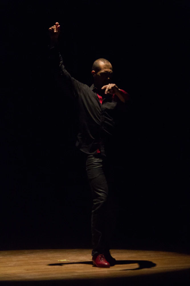 fotografia flamenco antonio canales 026