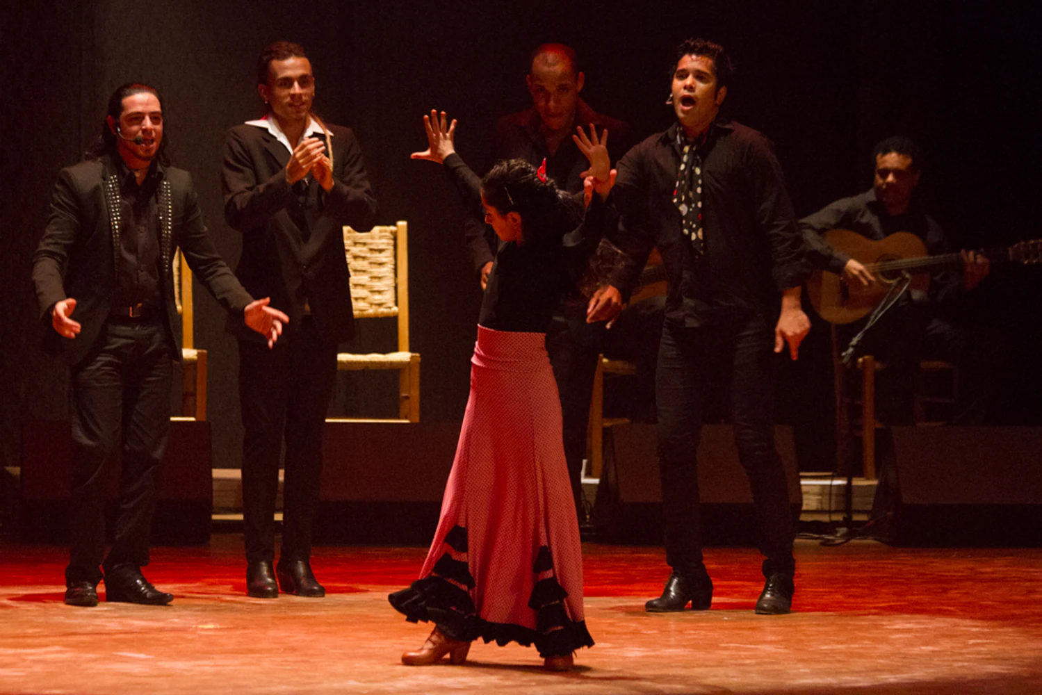 fotografia flamenco antonio canales 027