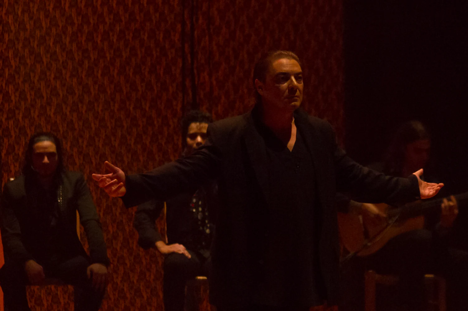 fotografia flamenco antonio canales 028