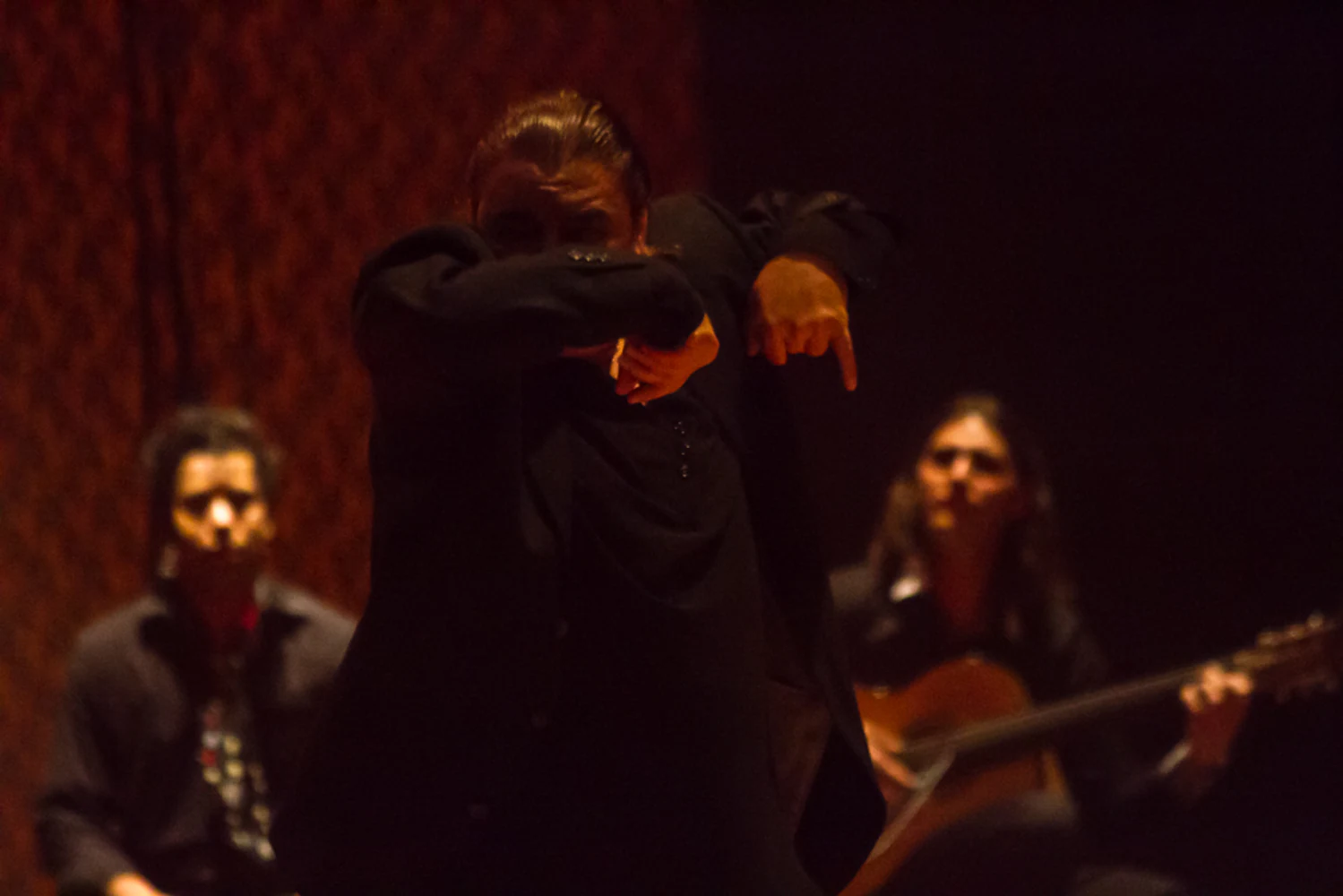 fotografia flamenco antonio canales 029