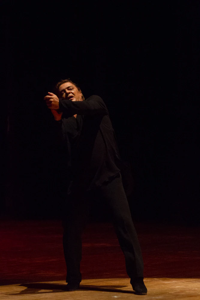 fotografia flamenco antonio canales 030