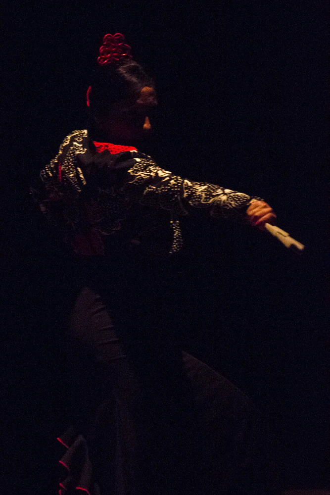fotografia flamenco antonio canales 034