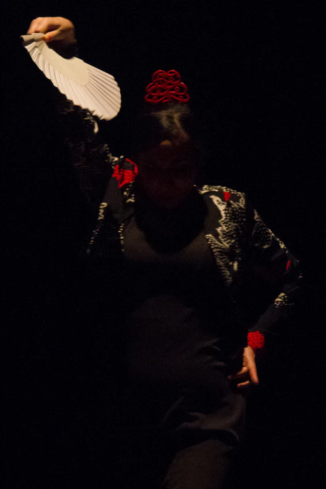 fotografia flamenco antonio canales 035