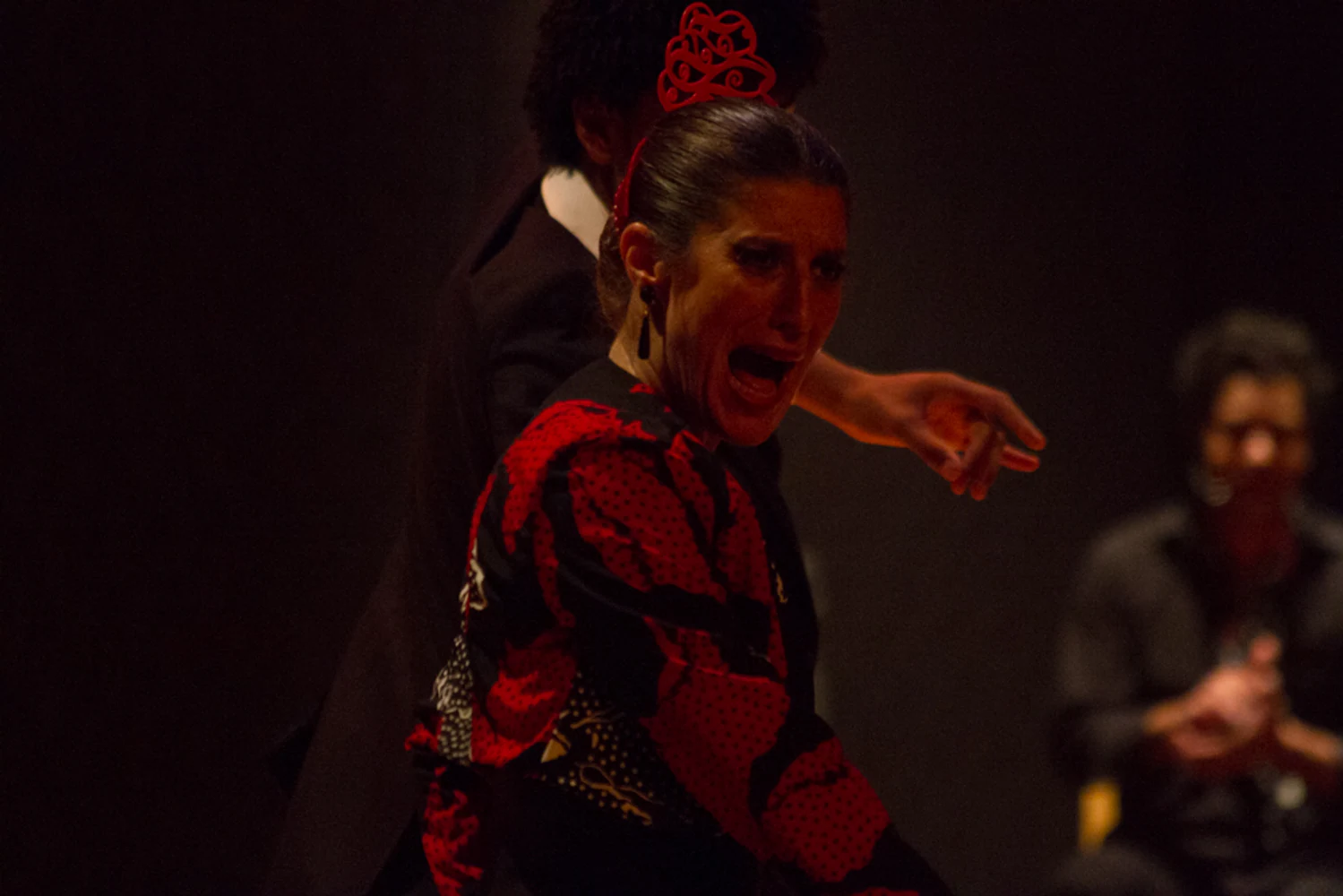 fotografia flamenco antonio canales 036