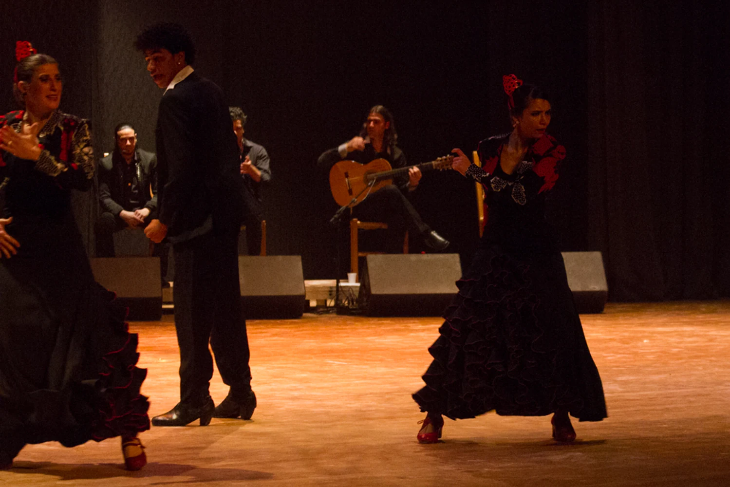 fotografia flamenco antonio canales 037