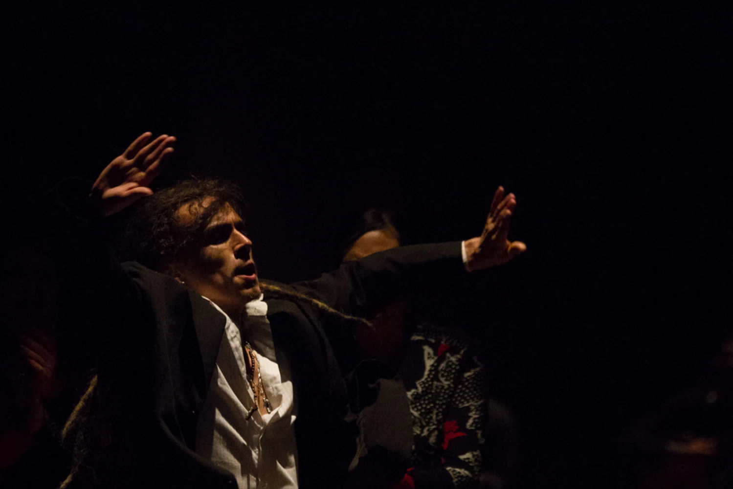 fotografia flamenco antonio canales 039