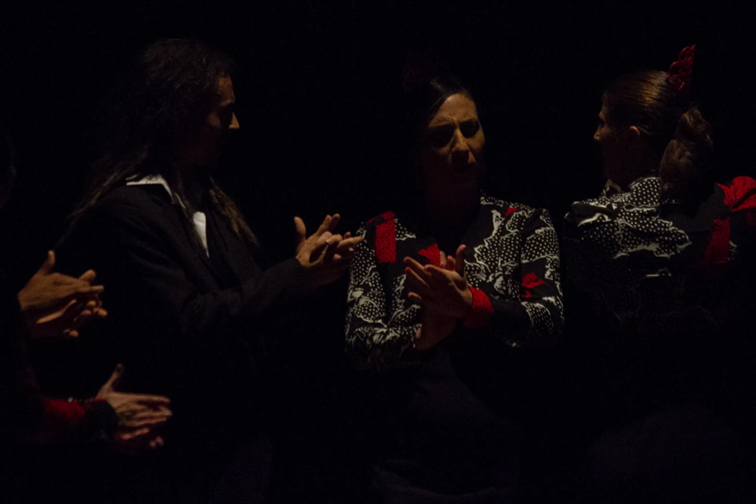 fotografia flamenco antonio canales 041