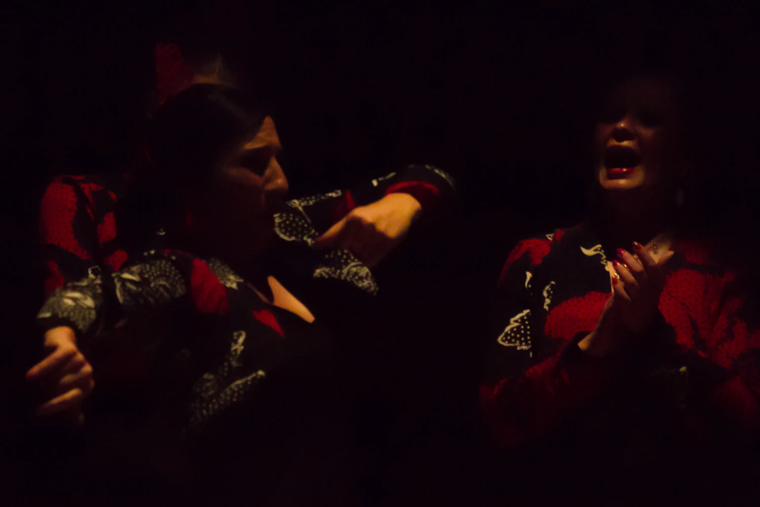 fotografia flamenco antonio canales 042